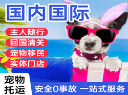长白山航空快递国际宠物托运 【国
